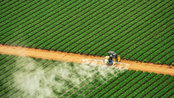 Professional Pest Control in Cactus Flats, AZ