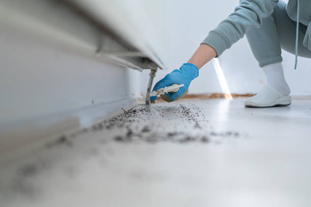 Best Best Pest Control Companies  in Cactus Flats, AZ